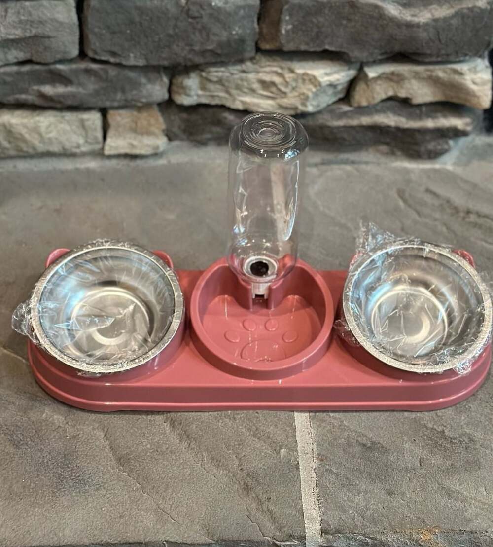 3 in 1 Pets Bowl Set W/ Automatic Water Dispenser & Stainless Steel Bowls